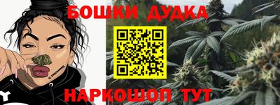 молекула духа Будённовск