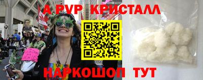 молекула духа Будённовск