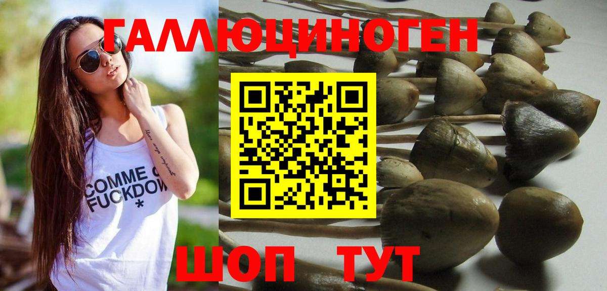 Псилоцибиновые грибы мицелий  Вход с VPN  Галлюциногенные грибы Psilocybine cubensis  Кстово 